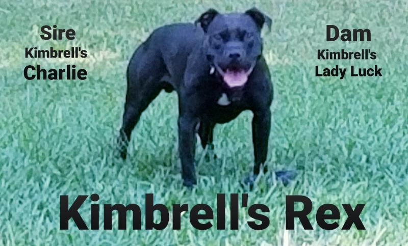 Kimbrell's T-Rexx